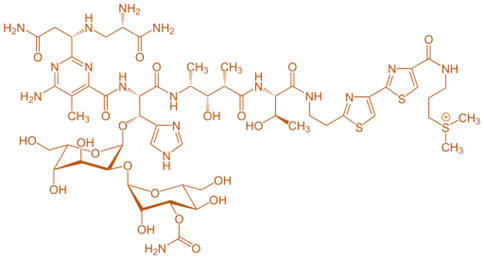 structure of Bleomycin structure of Bleomycin