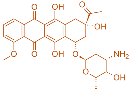 structure of Daunorubicin