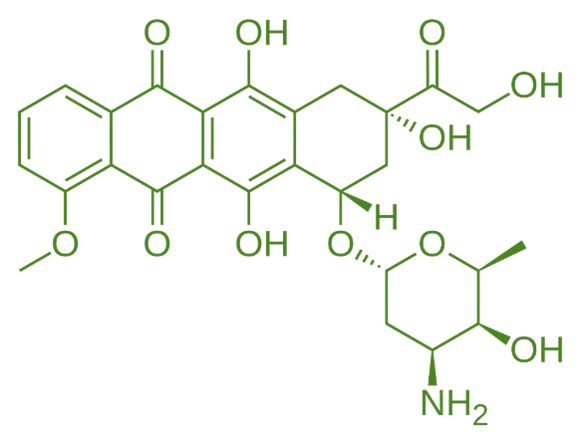structure of Doxorubicin structure of Doxorubicin