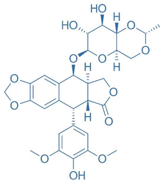 structure of Etoposide