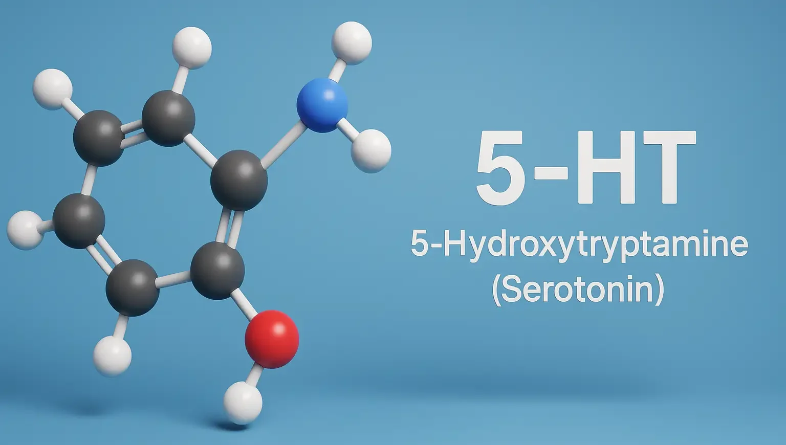 5-HT (5-Hydroxytryptamine) (Serotonin)