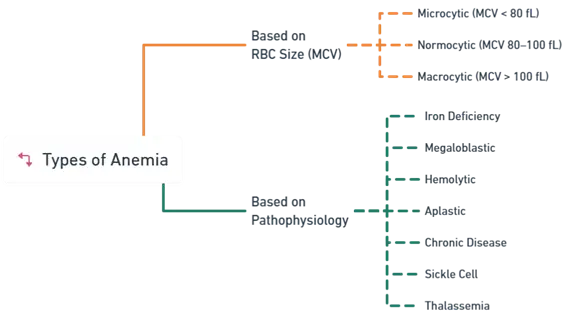 Anemia Anemia