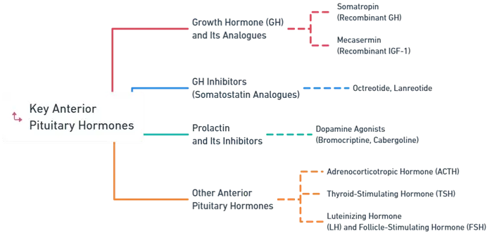 Anterior Pituitary Hormones