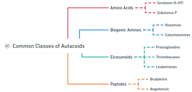  Introduction to Autacoids
