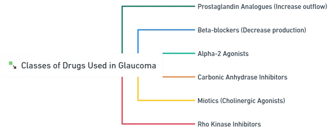Classes of Drugs Used in Glaucoma