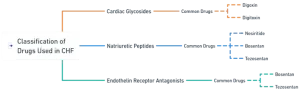 Classification of Drugs Used in CHF