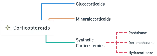Corticosteroids