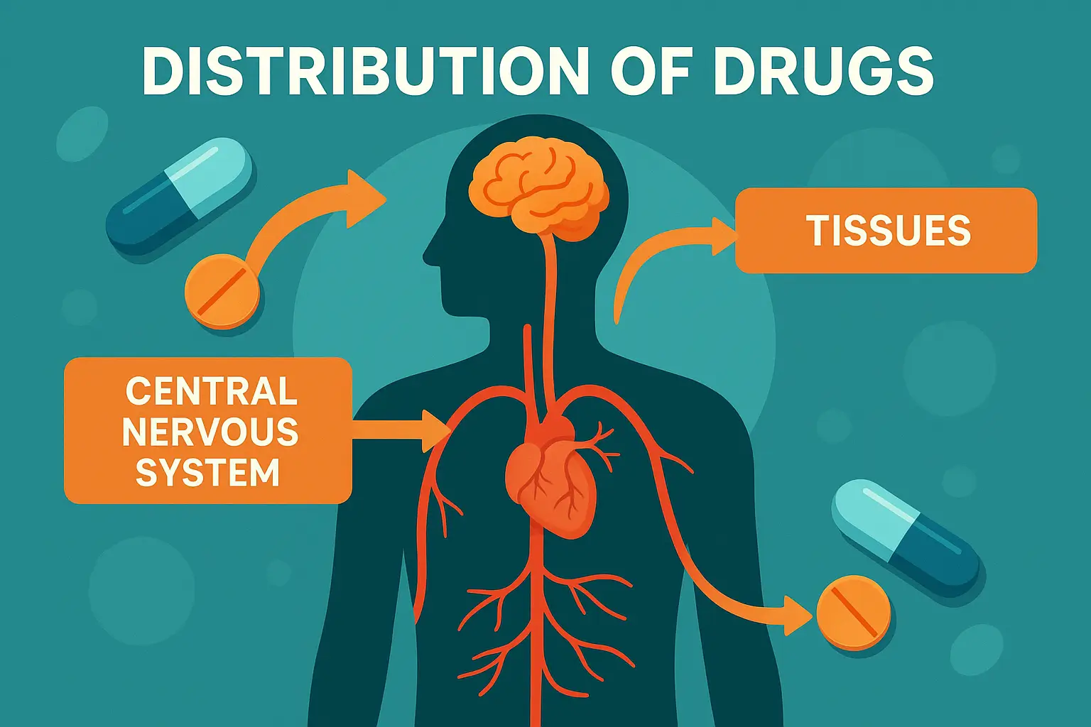 Distribution of Drugs