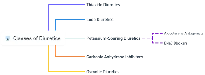 Classes of Diuretics