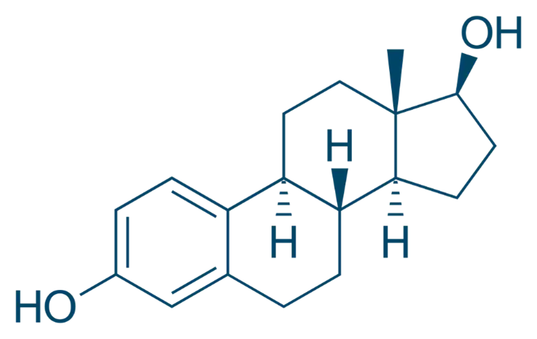 Structure of Estrogens