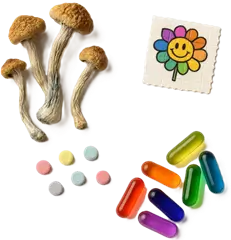 Hallucinogens Hallucinogens