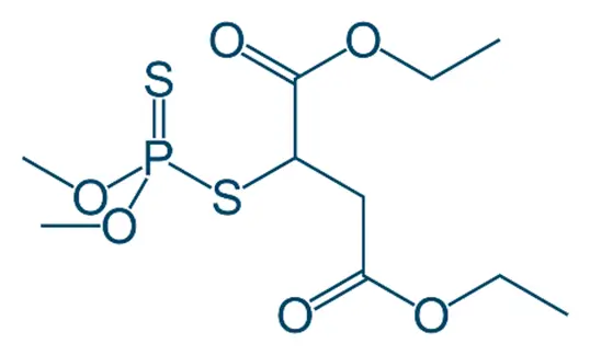 Chemical Structure of Malathion