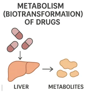 Metabolism (Biotransformation) of Drugs
