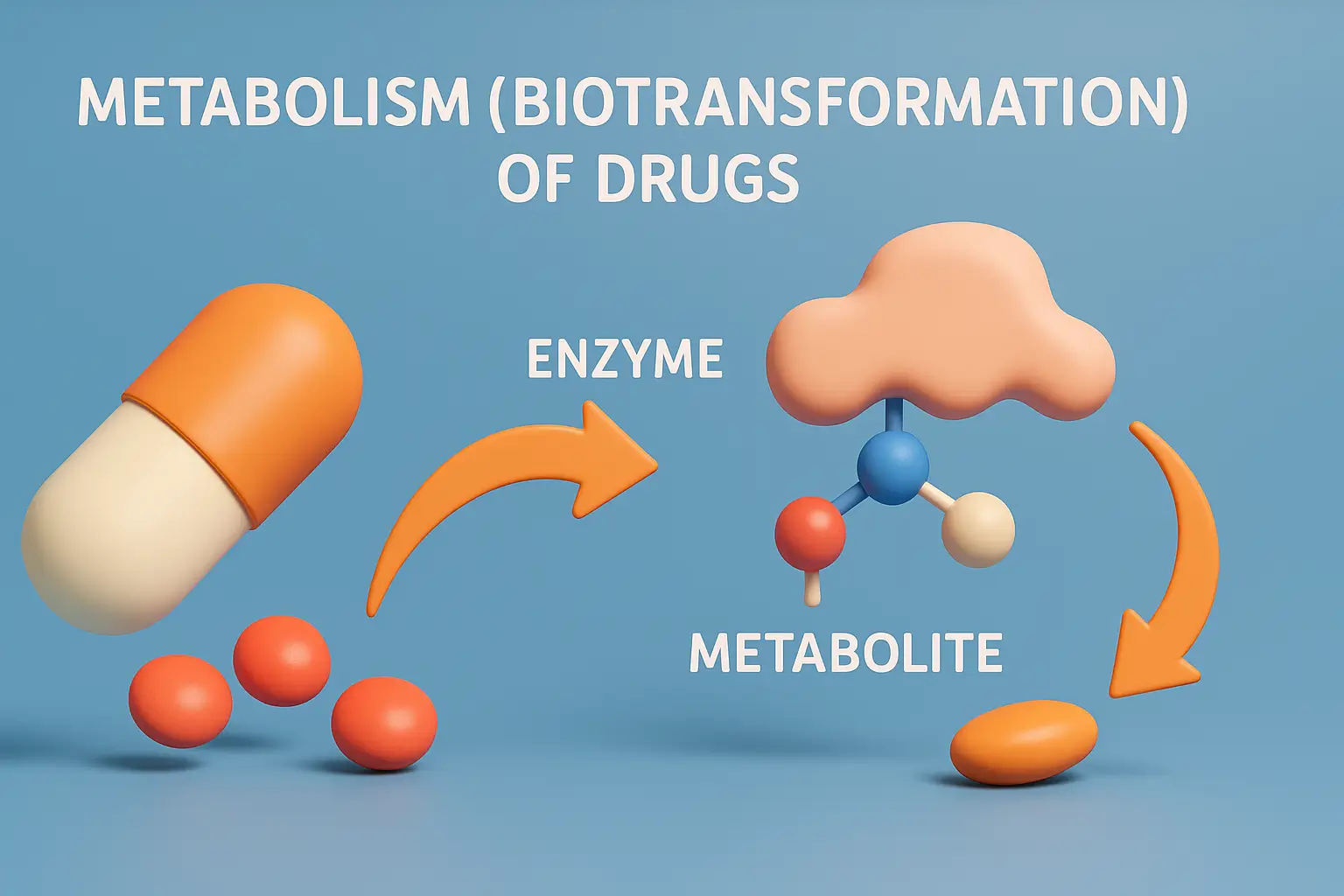 Metabolism (Biotransformation) of Drugs
