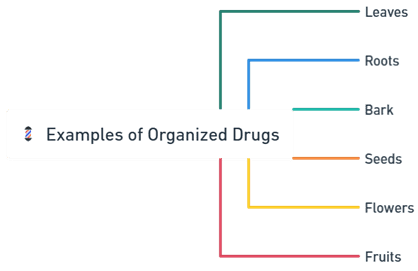 Organized Drugs