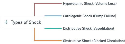 Types of Shock Types of Shock