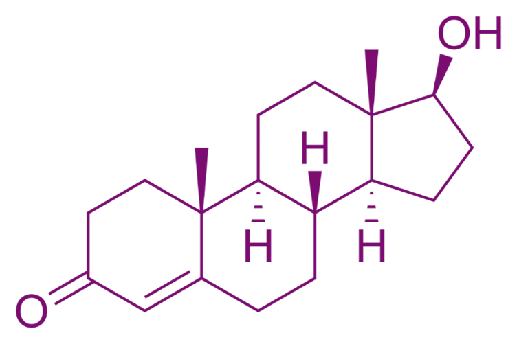 Structure of Androgens Structure of Androgens