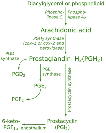 Prostaglandins Prostaglandins