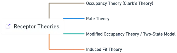 Receptor Theories