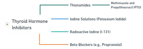 Thyroid Hormones 1