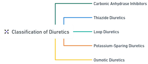 Classification of Diuretics