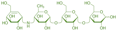 Structure of Acarbose