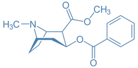 Structure of Cocaine
