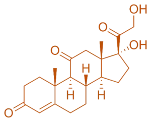 Structure of Cortisone