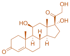 Structure of Hydrocortisone