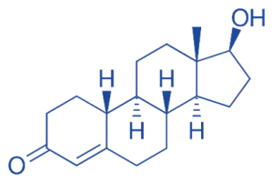 Structure of Nandrolone