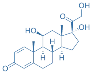 Structure of Prednisolone