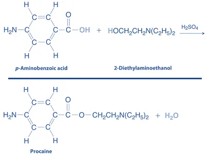 Synthesis of Procaine Synthesis of Procaine