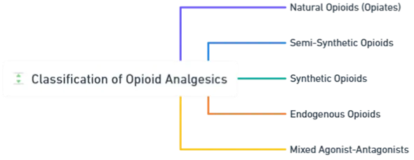 Classification of Opioid Analgesics