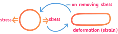 Elastic Modulus (Young’s Modulus)