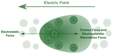 Electrical Properties of Colloids Electrical Properties of Colloids