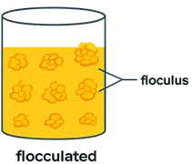 Flocculated Suspensions
