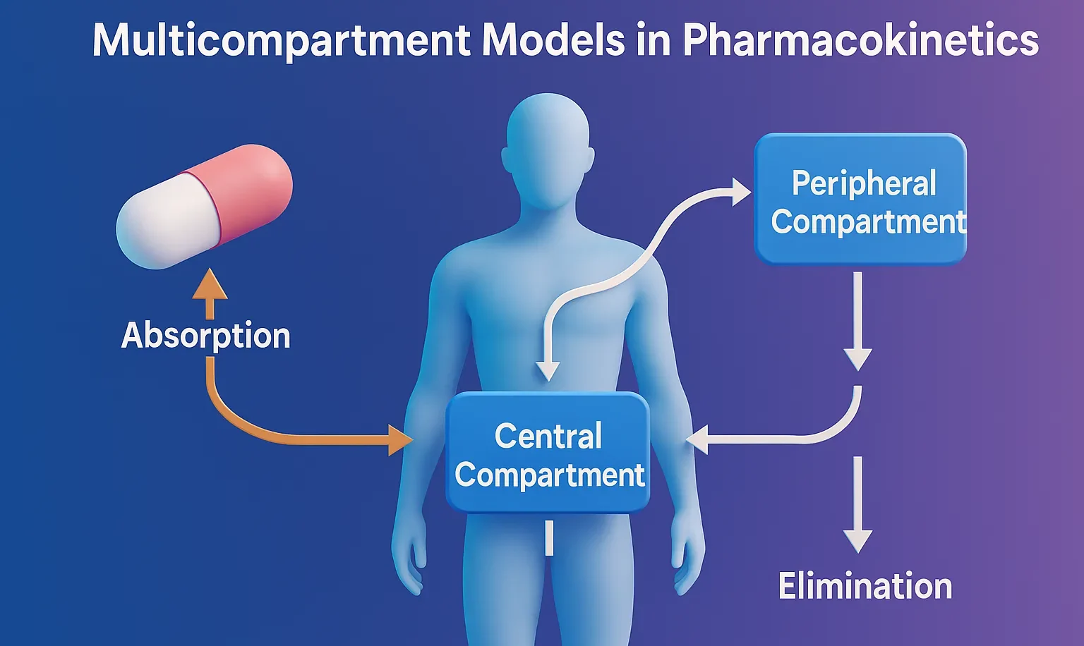 Multicompartment Models in Pharmacokinetics