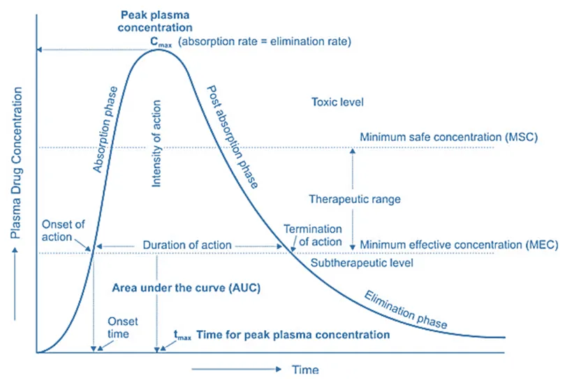Plasma Drug Concentration-Time Profile