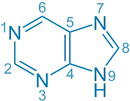 Purine