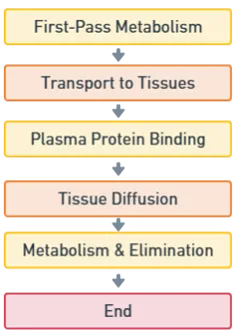 Steps in Drug Distribution