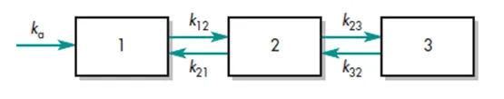 Types of Compartmental Models