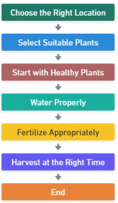 Key Steps for Herbal Cultivation