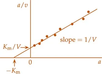Michaelis-Menten Parameter Estimation Methods