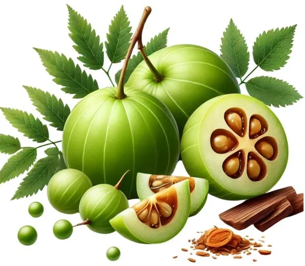 Amla