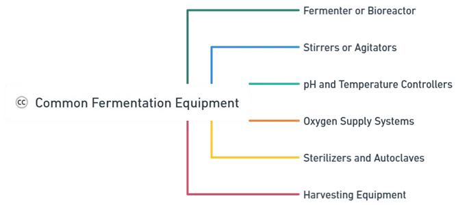 Common Fermentation Equipment
