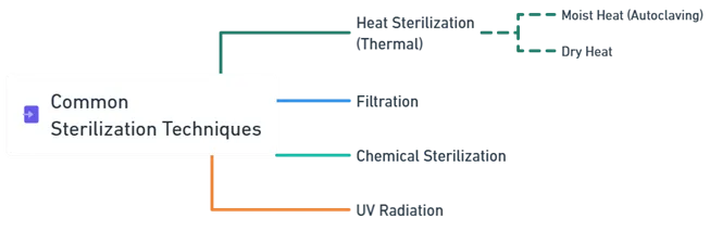 Common Sterilization Techniques