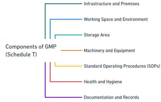 Components of GMP (Schedule T)