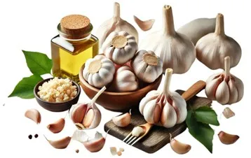 Garlic