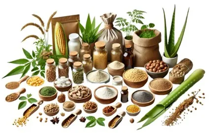 Herbal Disintegrants