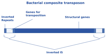 Transposons ("Jumping Genes")